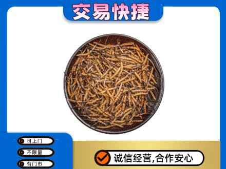 万宁高价回收散虫草
